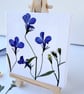 Real Pressed Lobelia  Miniature Botanical Canvas on Wooden Easel - Image 3