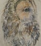 A4 or A3 signed Art Print, Owl - Image 4