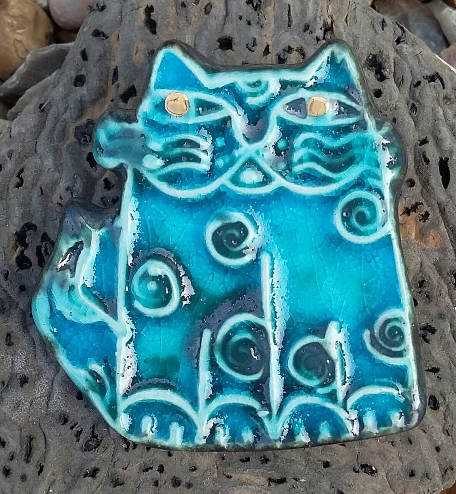 Turquoise cat