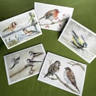Secret life of garden birds: 5 greetings cards