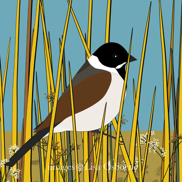 Reed bunting - high quality print, with mount, from digital illustration