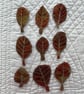 9 Free Motion Embroidered Autumn Leaf  Organza Embellishments Card Making  - Image 1
