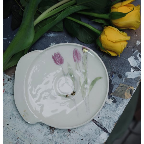 The Saucer - Spring Series