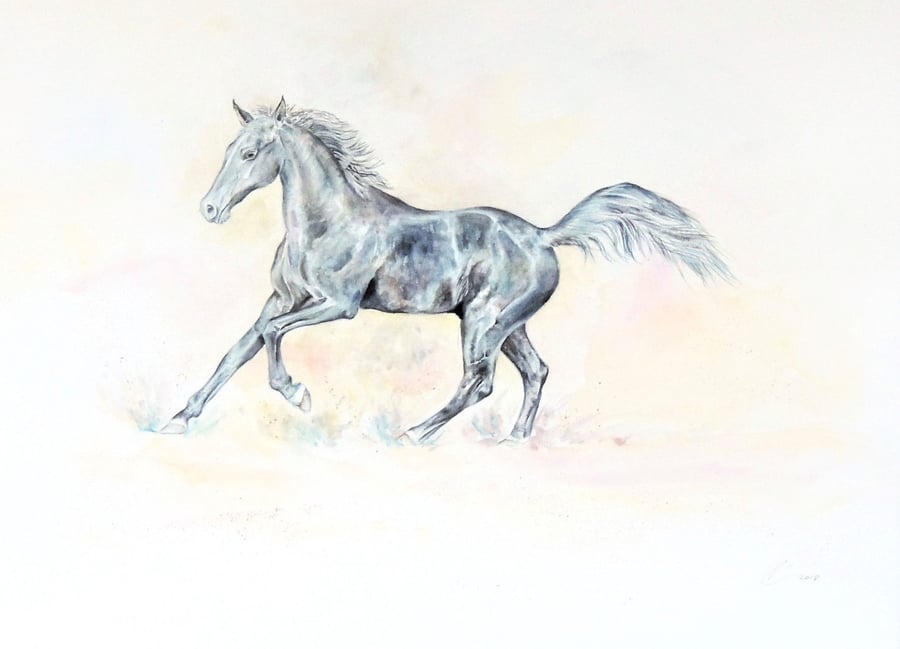  Black Horse Watercolour Original Painting