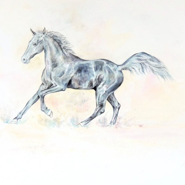  Black Horse Watercolour Original Painting
