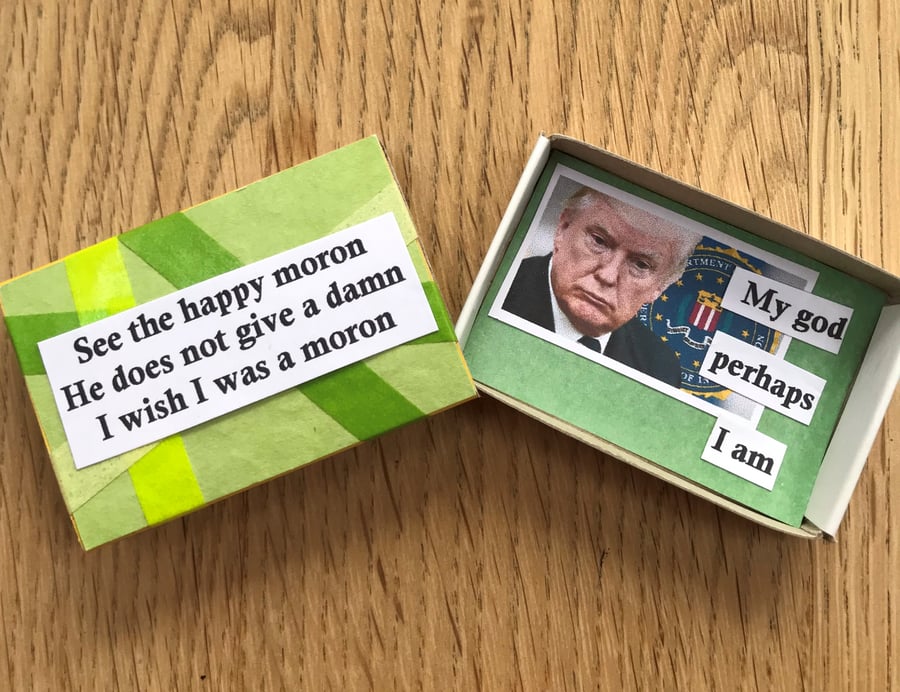 Donald Trump's A Moron! Message In a Matchbox