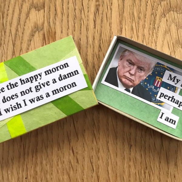 Donald Trump's A Moron! Message In a Matchbox