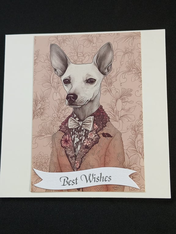 Quirky birthday card 