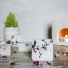 Wild Plum & Cedarwood Luxury Botanical Soy Wax Melts - Scented Wax Melts 
