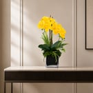 Luxury Yellow Orchid Arrangement – Modern Home Decor Gift 
