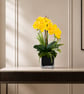 Luxury Yellow Orchid Arrangement – Modern Home Decor Gift 