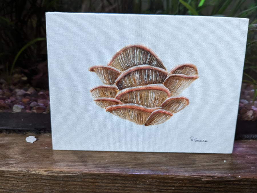 Oyster Mushroom Acrylic Painting 