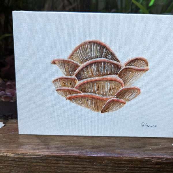 Oyster Mushroom Painting 