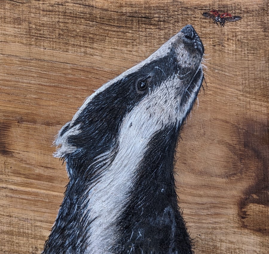 Badger Giclee Print, Badger, A4