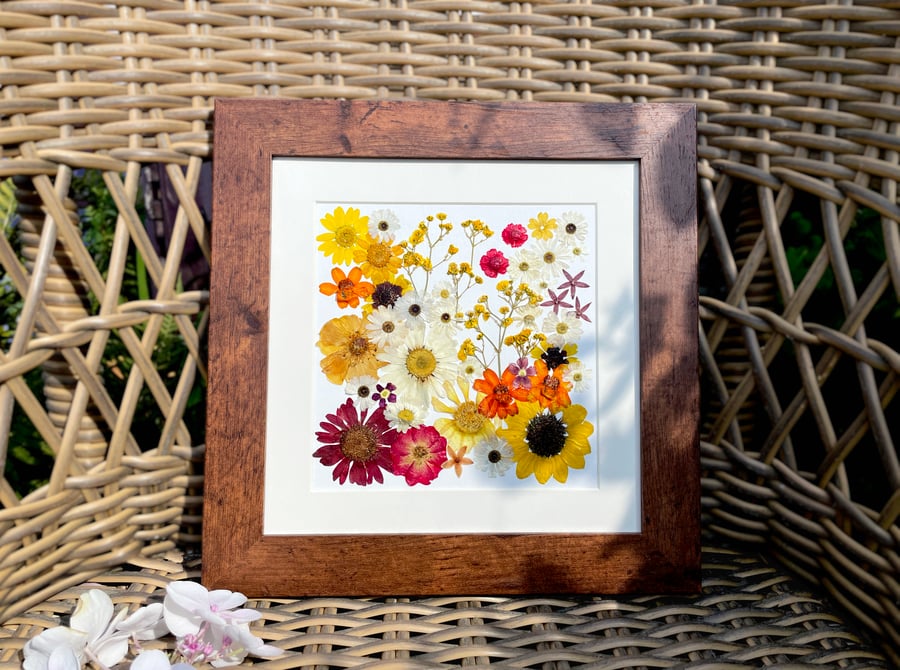 Summertime Gardens, Pressed flower framed art, 25.5cm, Botanical collage,