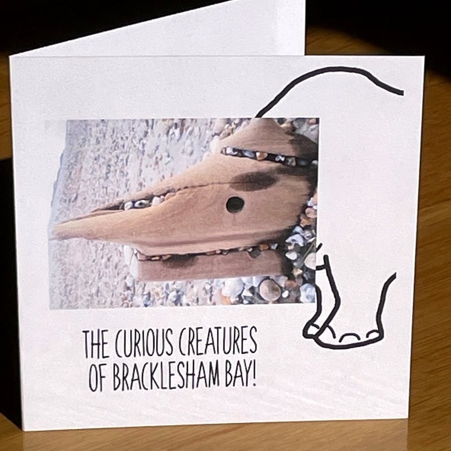 Rhino; 13.5 cm square greetings card, blank inside