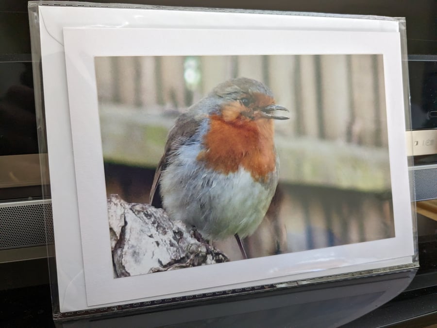 Greetings card with photo of Robin
