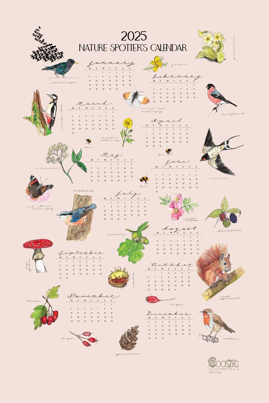 2025 Nature Spotter's Calendar Tea Towel: Illustrated British Wildlife