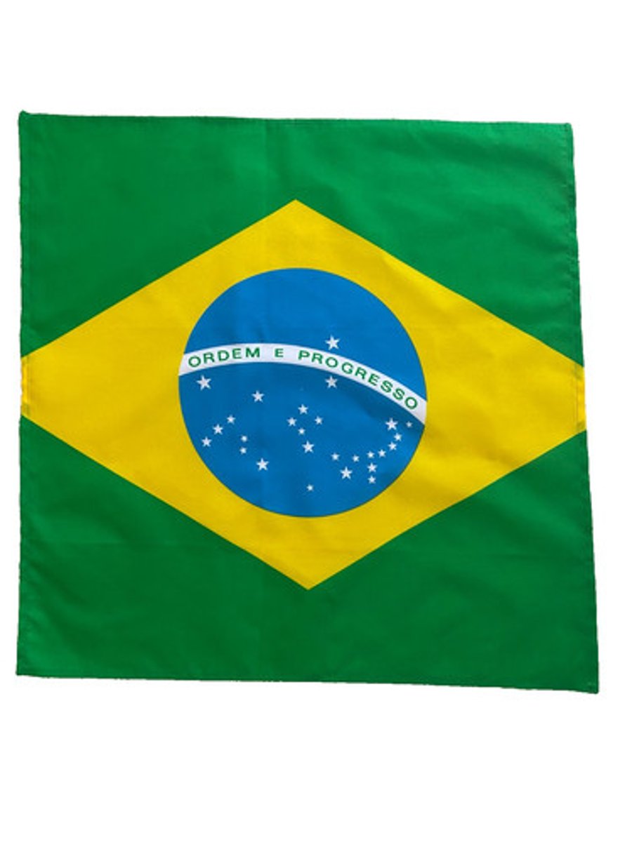 23" x 23" 59 x 59 cm Brazil Brazilian Flag Bandana Head Scarf Neck Tie