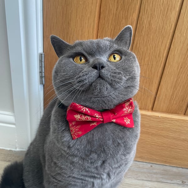 Dog and Cat Collar Christmas Bows