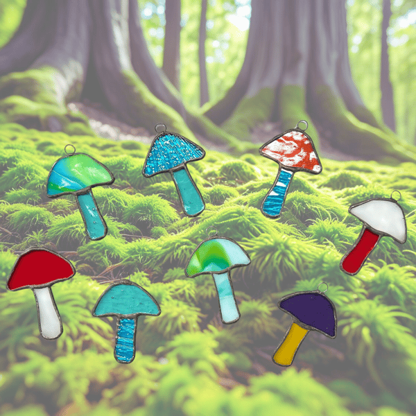 Colourful mushrooms - stained glass fungi!