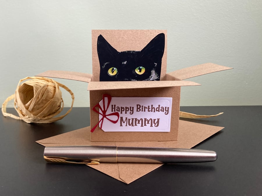 Personalised Cat Birthday Card. Birthday gift card for cat lovers. Cat box card.