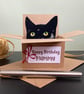 Custom Cat Birthday Card. Cat in a box personalised gift card holder