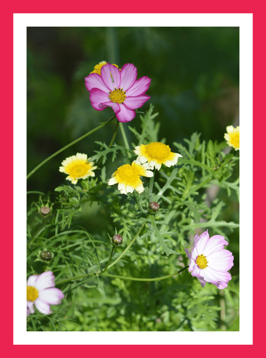 A5 Greeting Card Garden Flowers