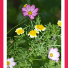 A5 Greeting Card Garden Flowers