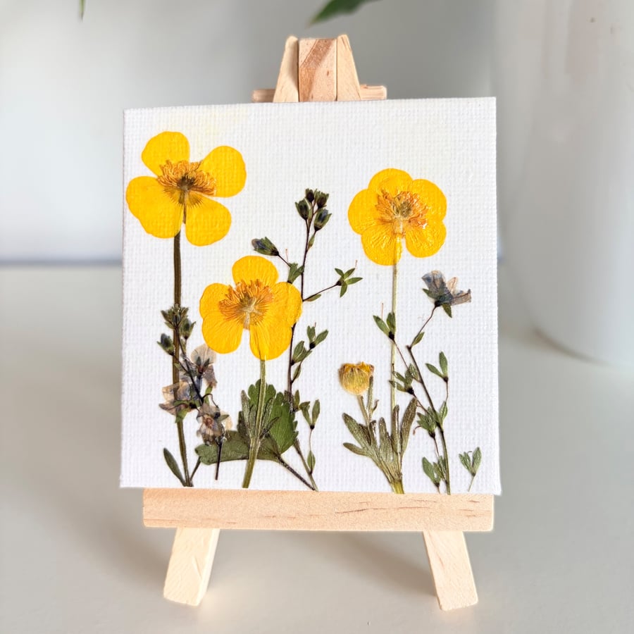 Real Pressed Buttercups Miniature Botanical Canvas on Wooden Easel