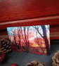 A6 Greetings card: Wirral woods sunset photograph  - Image 4