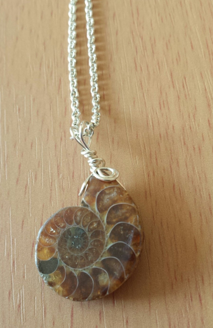 Handcrafted Wire Wrapped Unisex Ammonite Pendant,Fossil, Jurassic Jewellery