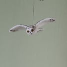 Owls in flight, Snowy owl style, individually needle felted sculptures 