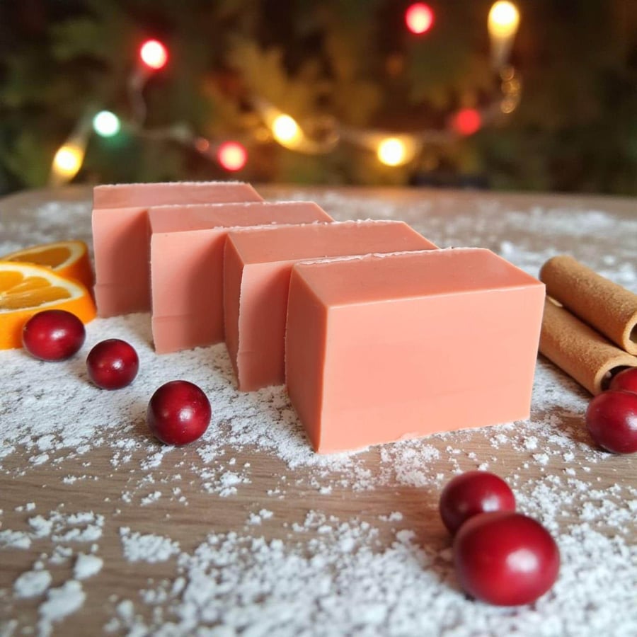 Cranberry Orange and Cinnamon Goats Milk Soap, Christmas Scented Bath Soap