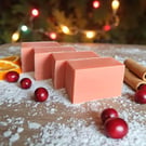 Cranberry Orange and Cinnamon Goats Milk Soap, Christmas Scented Bath Soap