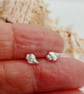 Fine silver shell stud earrings welk Shells handmade gift wrapped - Image 2