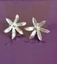 Star of Bethlehem Flower stud earrings made from Silver - Image 8