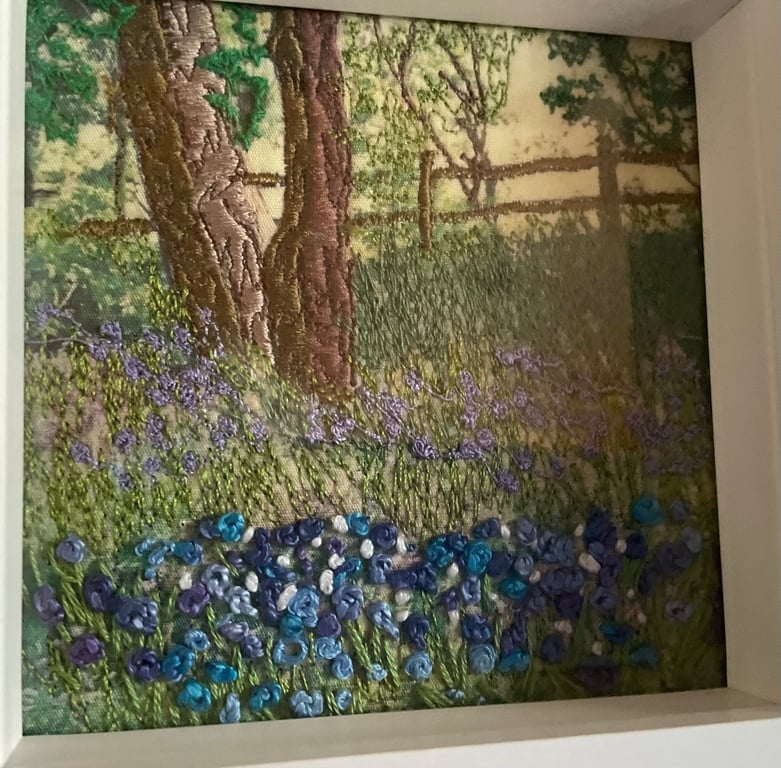 Bluebell field