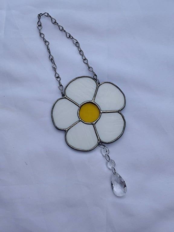 Yorkshire daisy