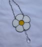 Yorkshire daisy
