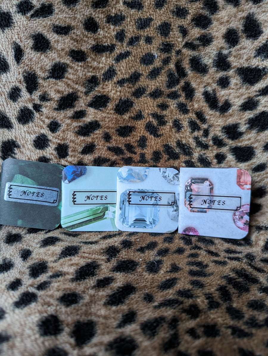 4 Pack Tiny Notebooks