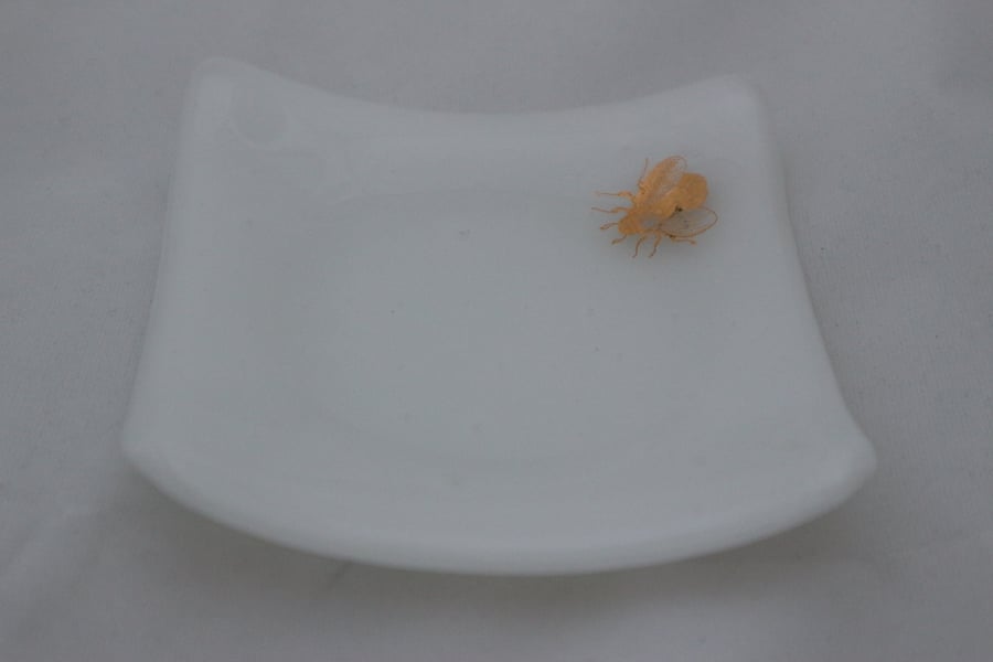 Handmade  fused glass trinket bowl or soap dish - gold bee on white