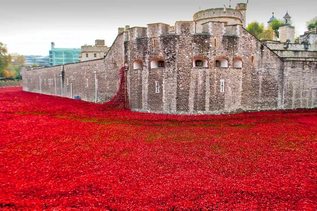 Tower Of London Poppy Red Poppies Photograph Print