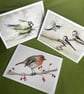 Secret life of garden birds: 5 greetings cards - Image 2