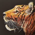 Limited Edition Tiger Print 