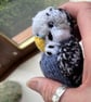 Budgies hand knit customised - Image 3