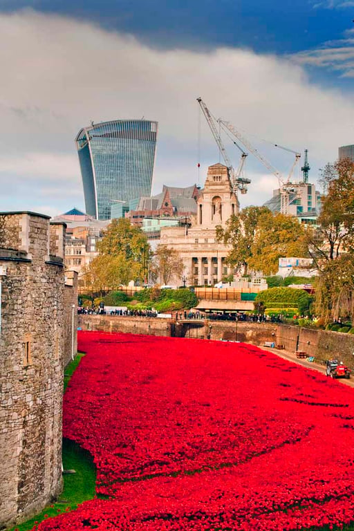 Tower Of London Poppies Red Poppy England Photograph Print
