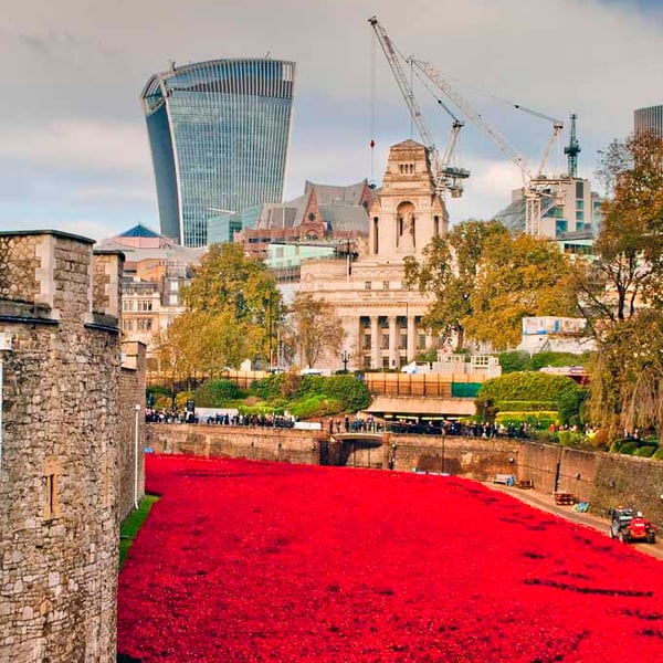 Tower Of London Poppies Red Poppy England Photograph Print