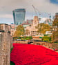 Tower Of London Poppies Red Poppy England Photograph Print
