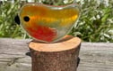 Fused Glass Birds